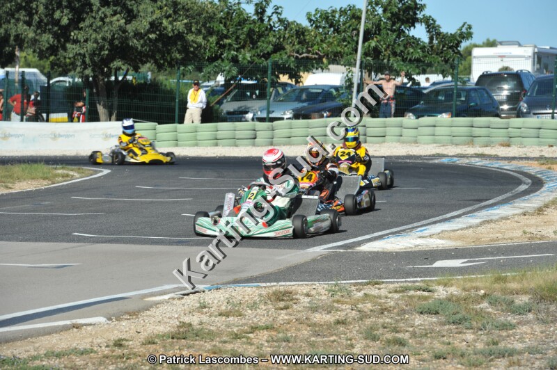 DSC (2490).JPG